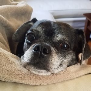 Meet your Posher, Katherine